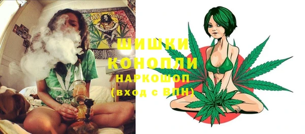Альфа ПВП Богородск